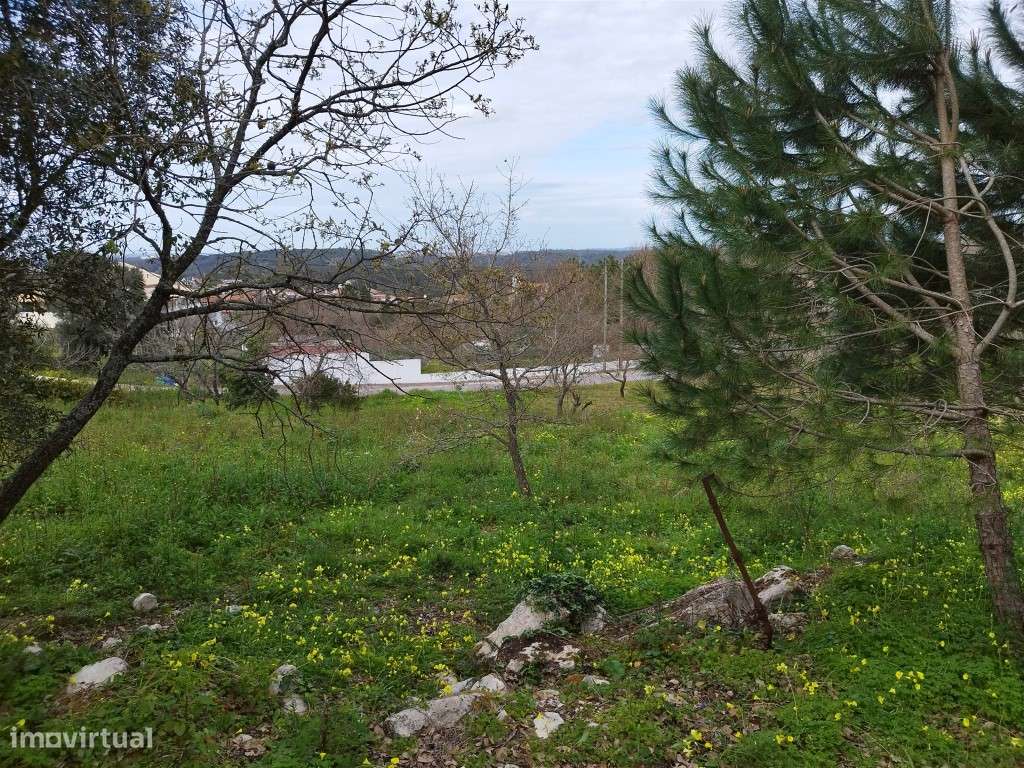 Terreno Urbano Venda Leiria-12