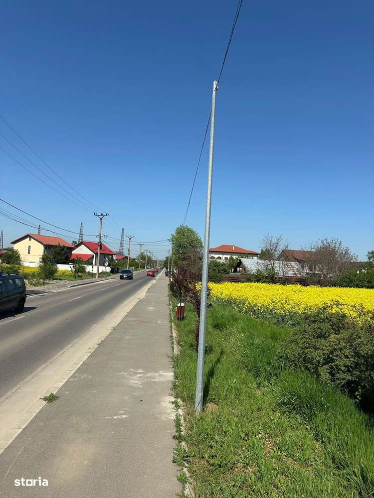 Teren intravilan 26.300 mp Saftica Balotesti - PUZ în lucru-17