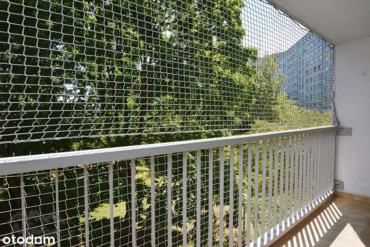 3 pokoje|rozkład|klimatyzacja|duży balkon - Pełny obrazek: 5/15