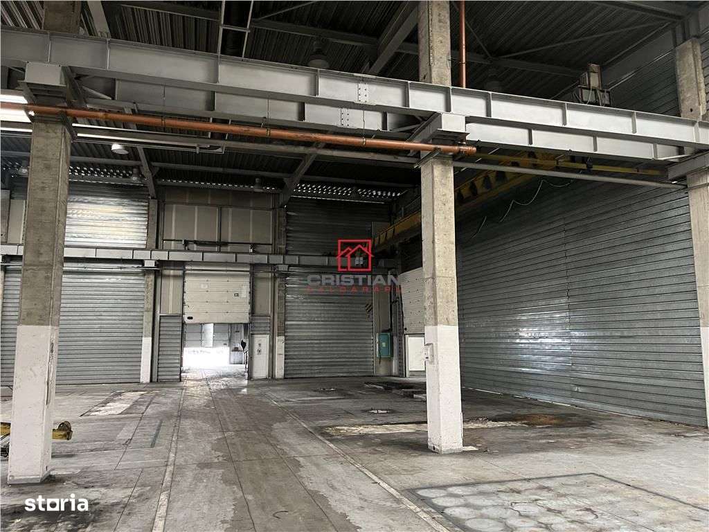 Inchiriere depozithalaspatiu industrial Militari - Timisoara - Imagine principală: 3/17