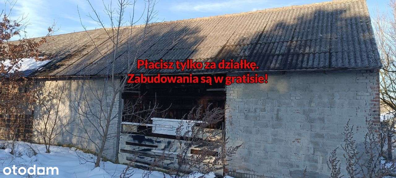 Działka 1,98ha rolne zabudowane Kamienica Polska Zawisna-6