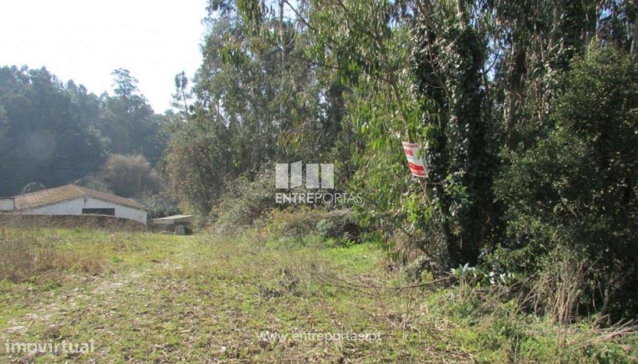 Venda de Terreno, Rio Mau, Vila do Conde - Grande imagem: 5/9