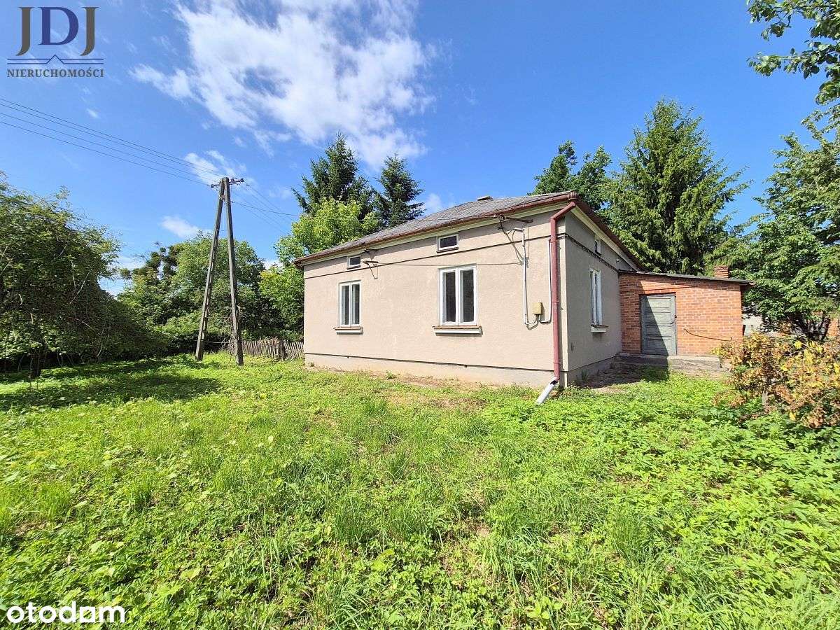 SIEDLISKO W OTULINIE DRZEW - ORNATOWICE. GRABOWIEC - Pełny obrazek: 3/16