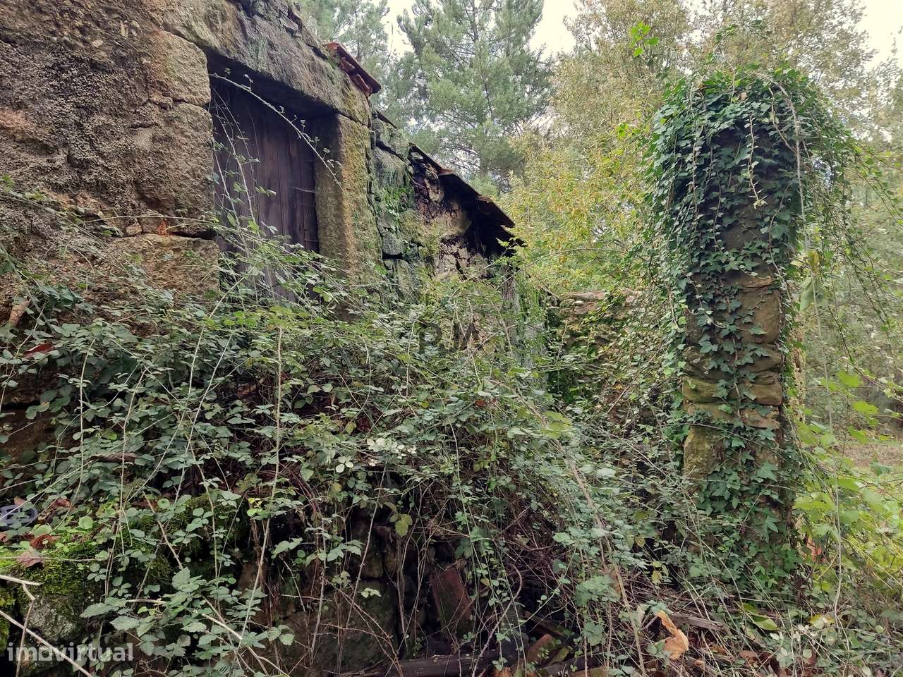 Quinta com 2ha em Aldeia das Posses - Grande imagem: 5/17