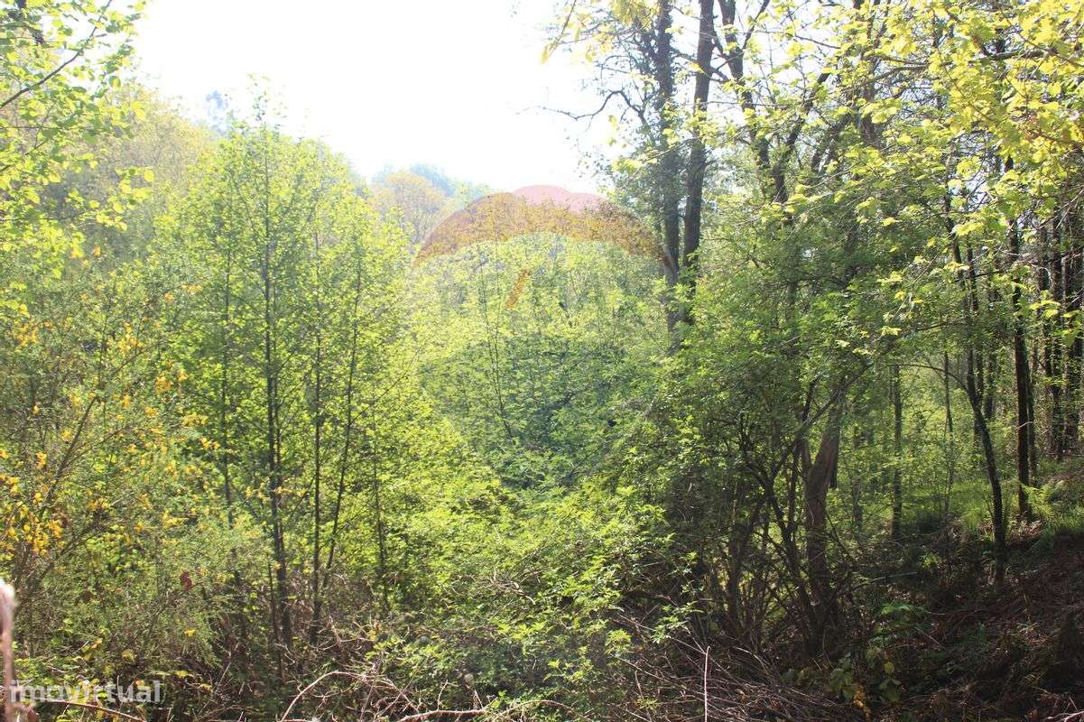 Terreno T0 para venda - Grande imagem: 5/10