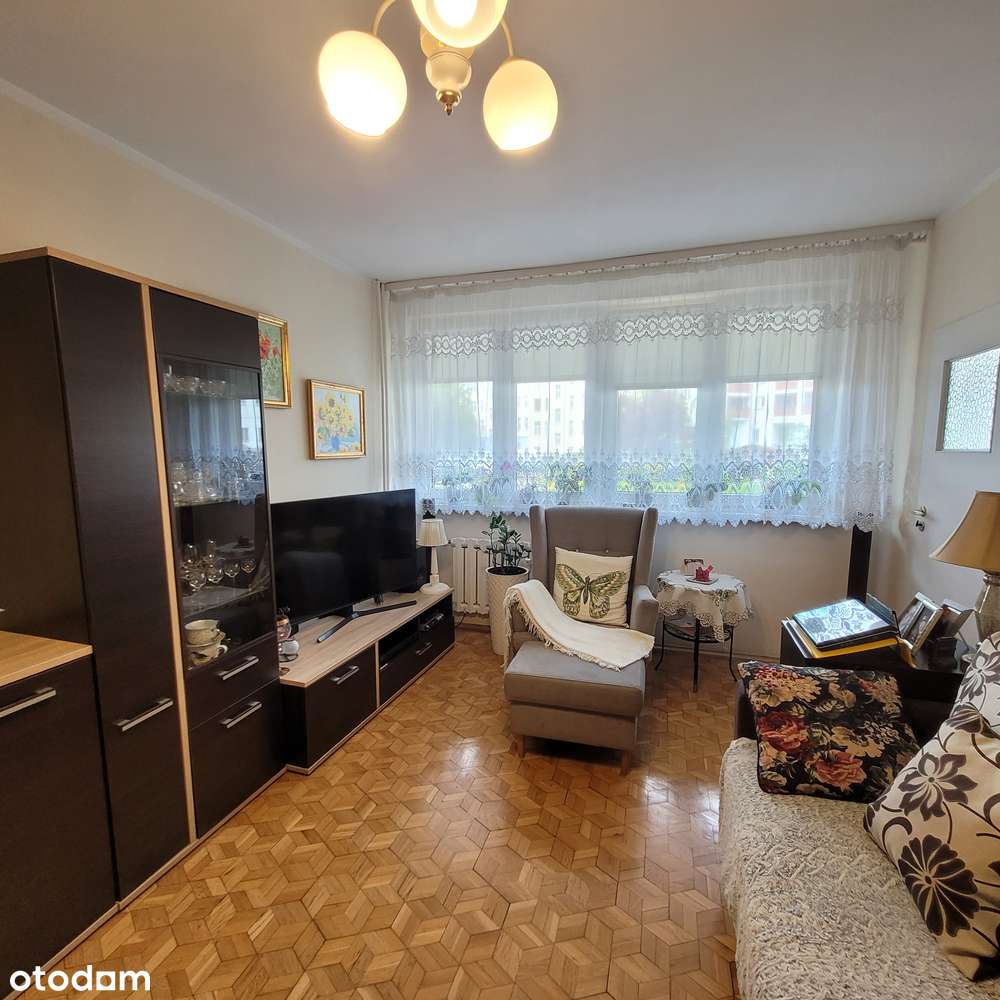 Mieszkanie 2 pokoje, rozkład, plomba, w ok. pl Bema-4