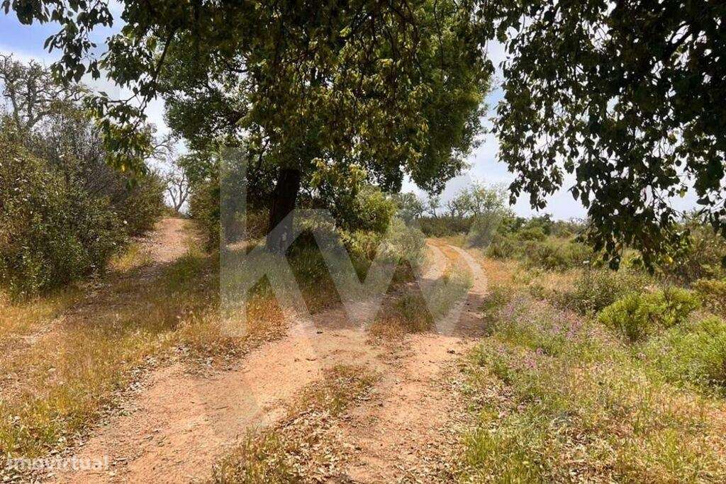 Herdade no coração do Alentejo Litoral - Santiago do Cacém - Grande imagem: 2/35