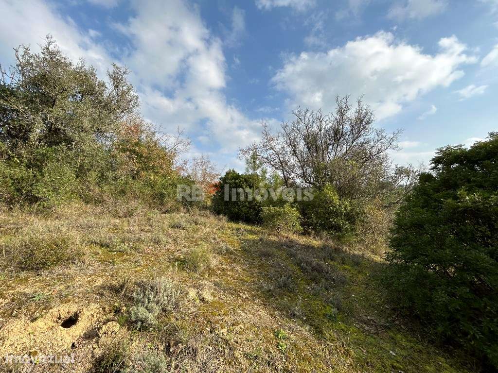 Terreno à venda em Tomar - Caniçal, Tomar - Grande imagem: 4/25