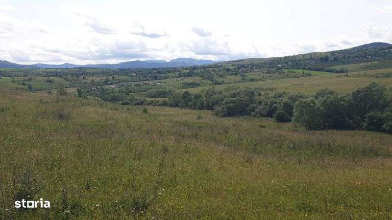 PF vand teren SALICEA, IARA extravilan,parcele de 500la5000mp , CABANA - Imagine principală: 4/8