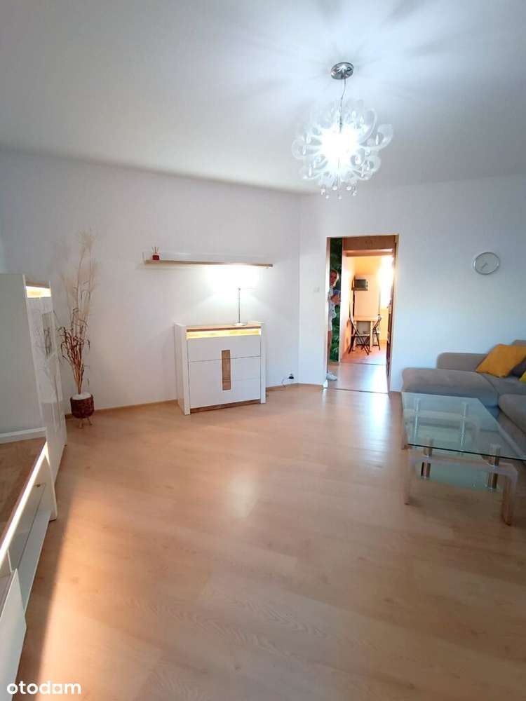 Śliczne mieszkanie na Nowym Mieście*parter*53,4m2 - Pełny obrazek: 4/17