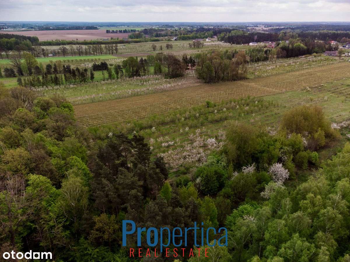 *Działka Kocerany - 4,72 ha - Blisko S7 **-10