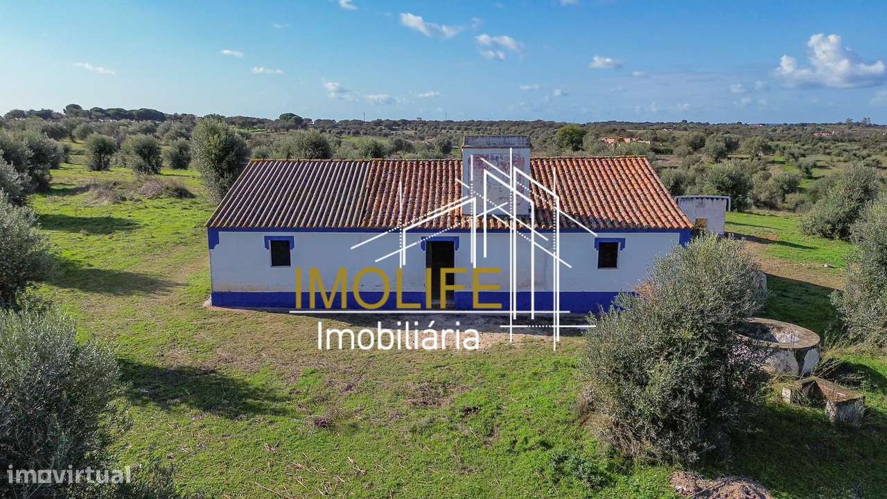 Monte Courela da Boavista - Tesas - Malarranha-54