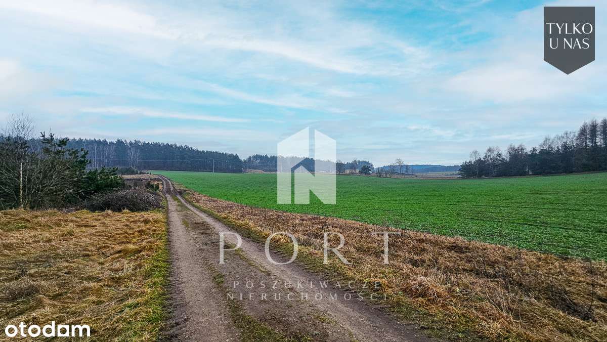 Malownicza działka, Węsiory! - Pełny obrazek: 4/7