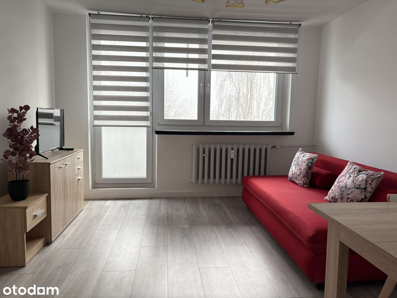 Tysiąclecie Dolne  2 Pokoje z Widokiem na Park Śląski - Pełny obrazek: 4/11