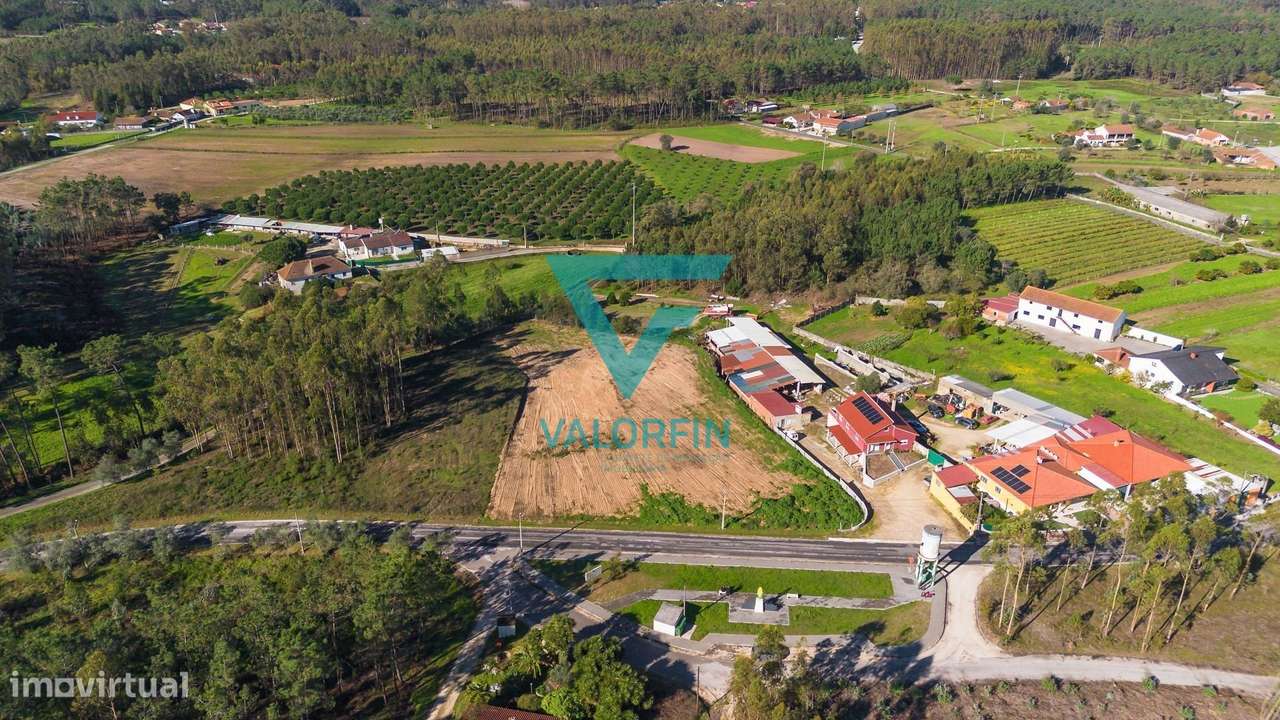 Terreno com 2.400 m², totalmente plano, oferecendo excelentes condi... - Grande imagem: 5/5