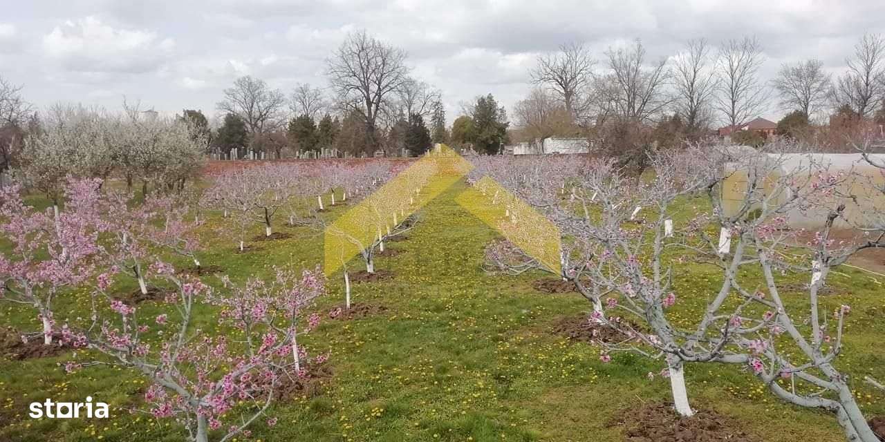 Casa de vanzare zona Gradiste - Imagine principală: 4/11