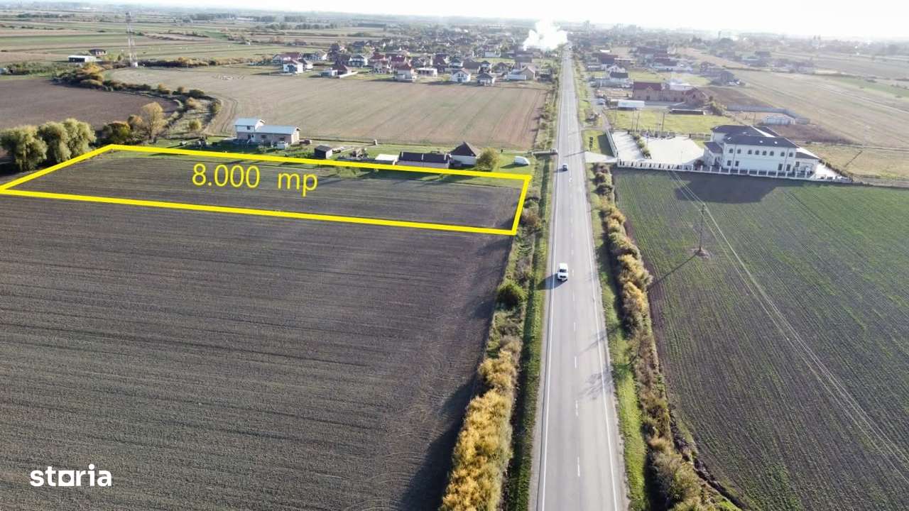 Teren intravilan - 8.000 mp in Botiz | Acces din Drum European-9