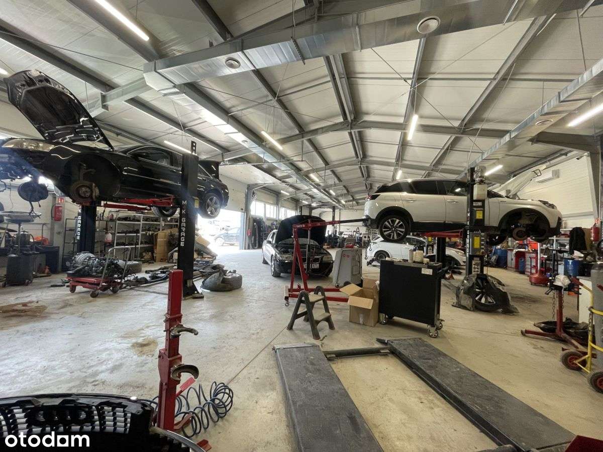 Nowa hala - warsztat samochodowy/magazyn/inne - Pełny obrazek: 4/10