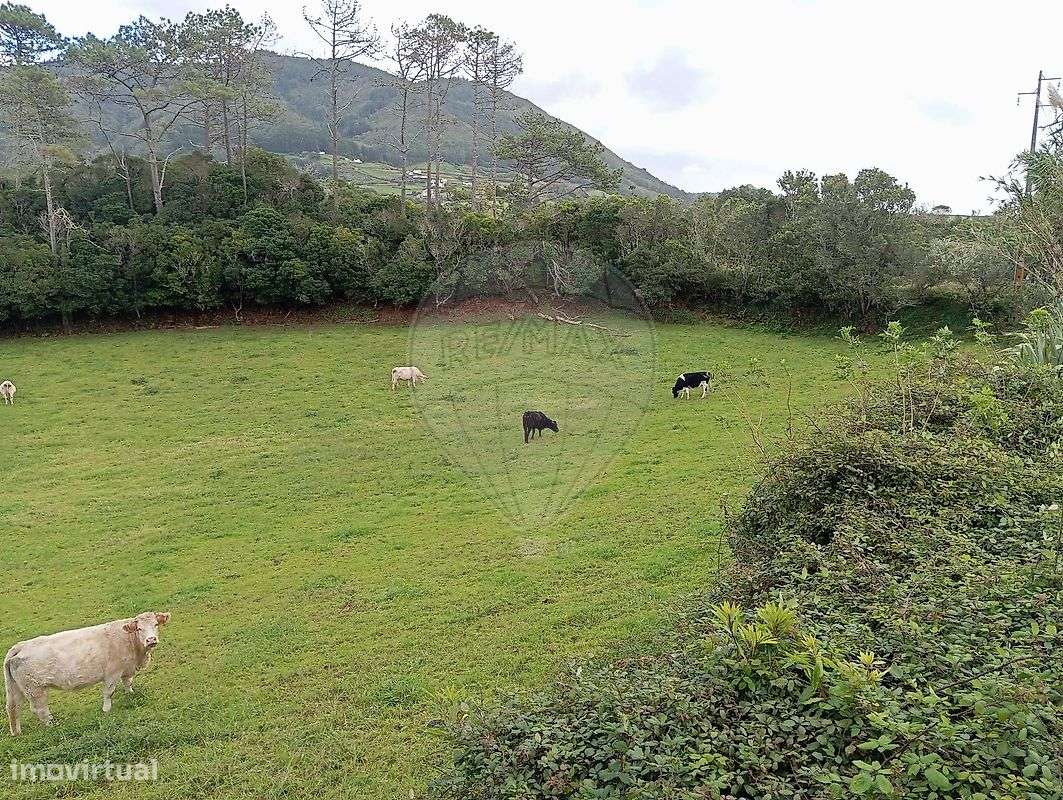 Terreno  para venda-1