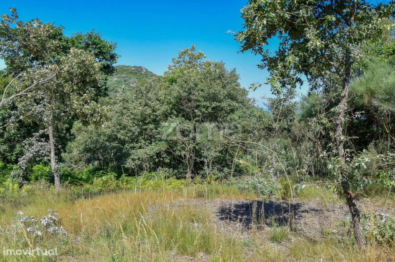 Terreno Rústico com 1.700 m2 em Charrasqueira, Amarante - 1h do Porto