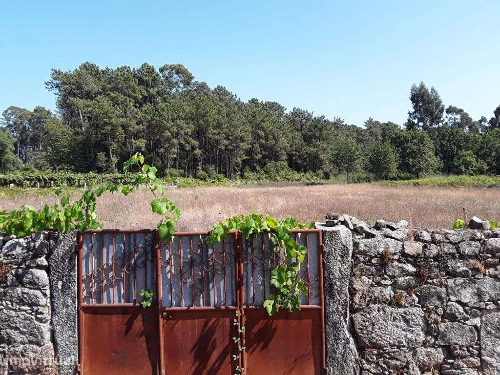 Grande Terreno para Construção - Forjães - Grande imagem: 3/7