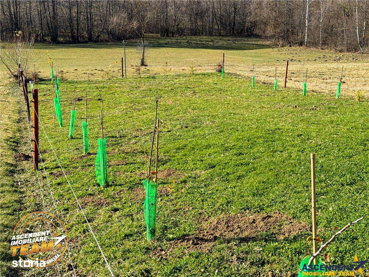 FILM! Teren extravilan 682 mp + rulota, Floroaia, Intorsura Buzaului - Imagine principală: 4/20