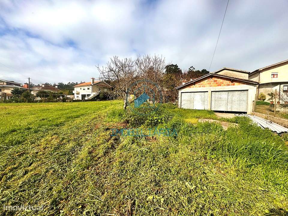 Terreno construção e cultivo – 6000m2 c/moradia devoluta-10
