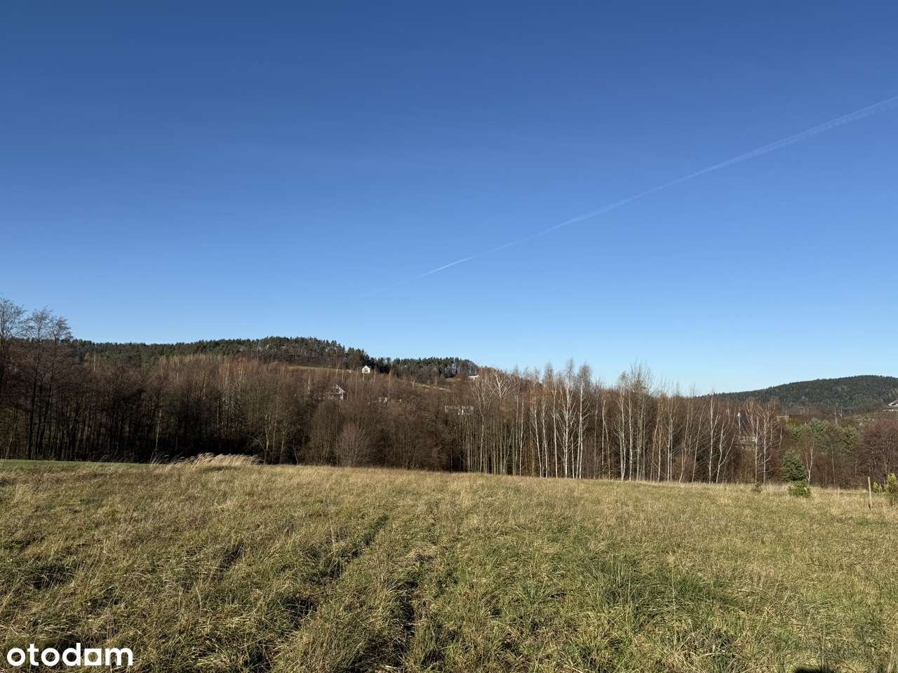 Czasław - atrakcyjna działka widokowa pod zabudowę-5