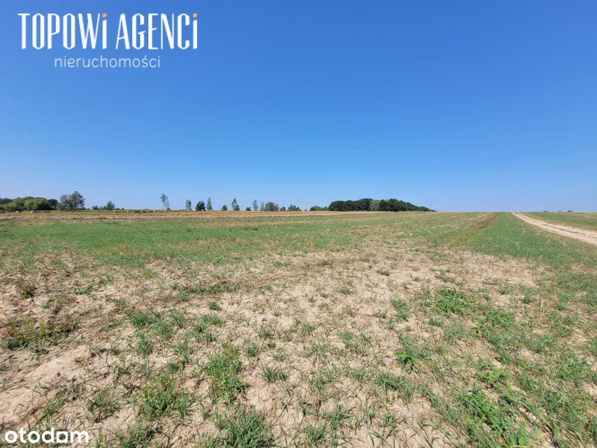 Działka nad rzeką,Park Kampinoski warunki zabudowy-18