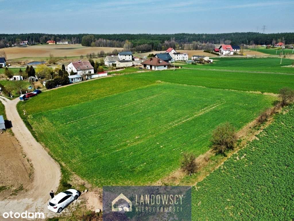 Siedlisko na skraju wsi pod miastem - Pełny obrazek: 4/20