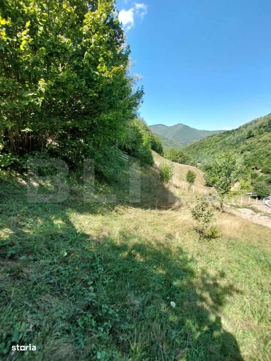 Teren cu autorizatie de constructie, 1130 mp in Muntele Rece! - Imagine principală: 5/17