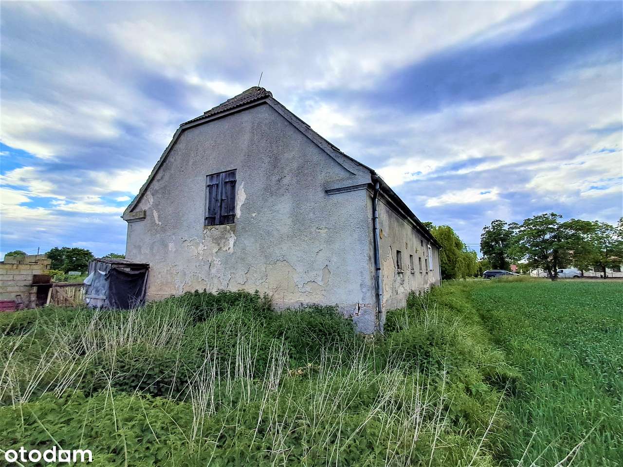 Na sprzedaż siedlisko w Renicach na dużej działce.-6