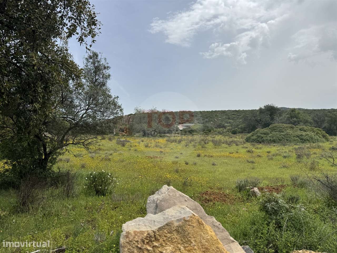 Terreno Misto em Moncarapacho - Grande imagem: 2/13