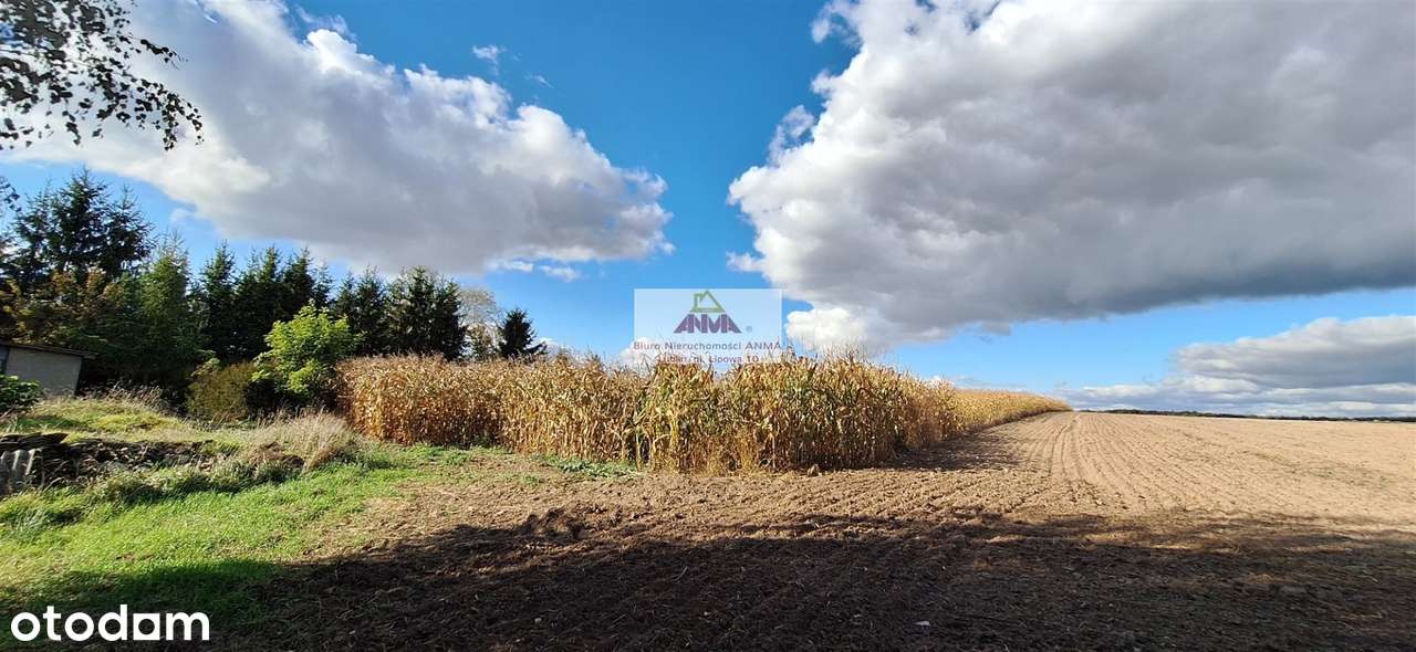 Działka do zabudowy (M4), Bystrzejowice - Pełny obrazek: 5/13