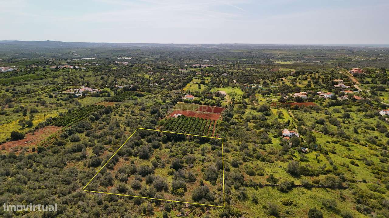 Terreno Rústico com 9.400 m² em Pedregais – Ideal para Agricultura ou - Grande imagem: 4/8