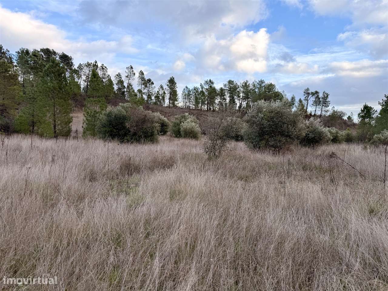 Quinta T0 Venda em Sarzedas,Castelo Branco-25