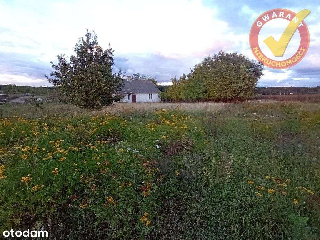 Dwie działki w Dzikowie Chrapy. - Pełny obrazek: 5/6