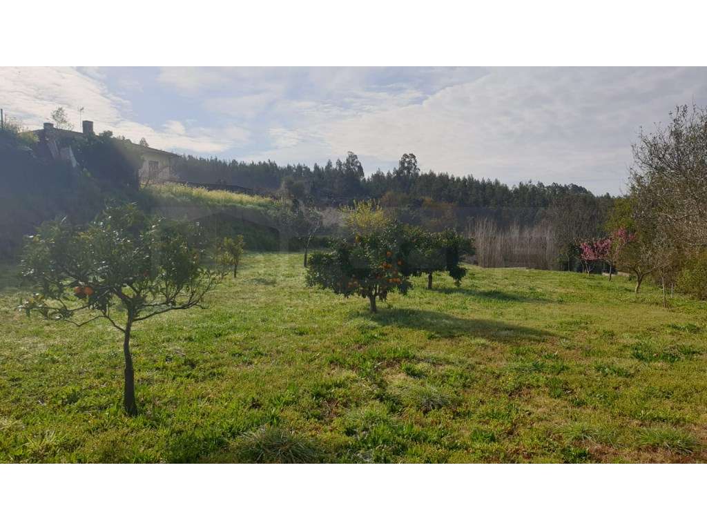 Terreno para construção de moradia - 10 minutos de Albergaria-a-Velha - Grande imagem: 4/10