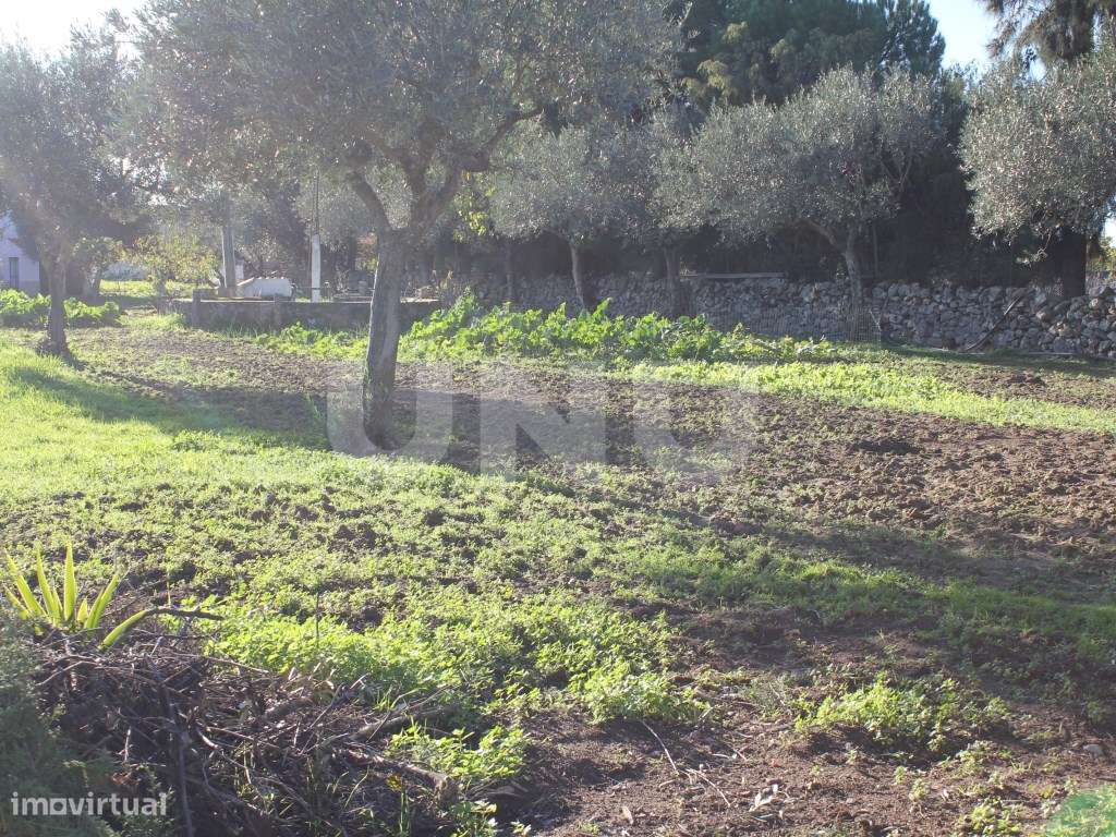 Quinta para venda em Oledo, Idanha-a-Nova, Portugal-14