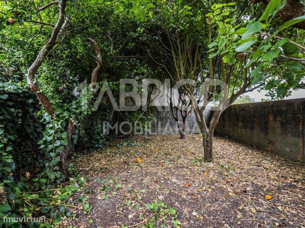 Moradia T3 Central, Oportunidade de Reabilitação (Para venda ao abr...-21