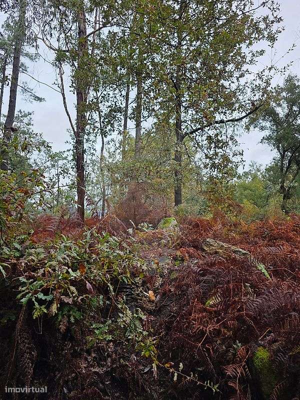 Terreno  para venda - Grande imagem: 2/4