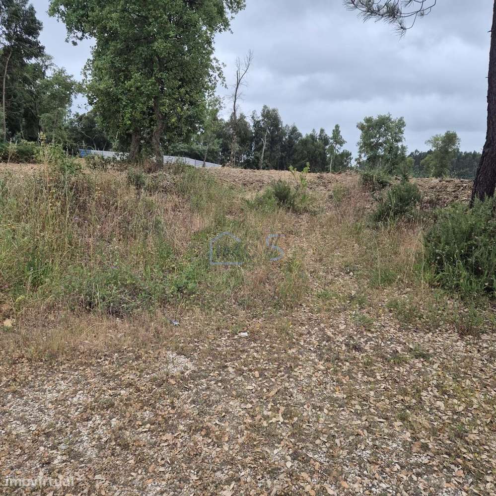 Terreno com 4.560 m² e Viabilidade de Construção – Casais, FZZ-7