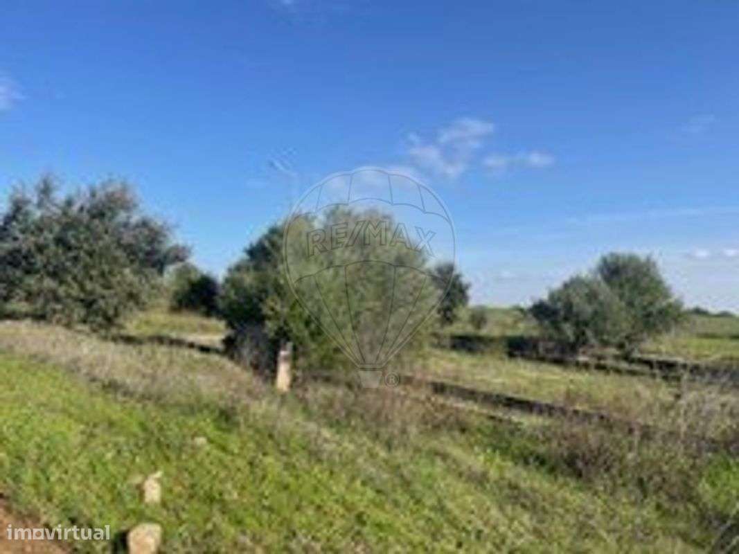 Terreno  para venda - Grande imagem: 4/11