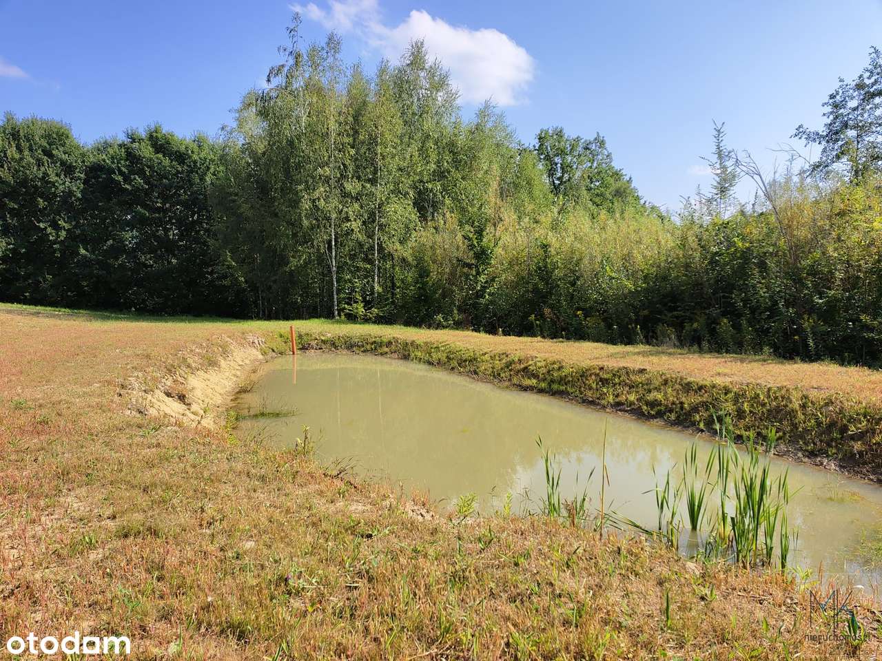 Kobylec, gmina Łapanów – działka budowlana z własnym stawem.-3