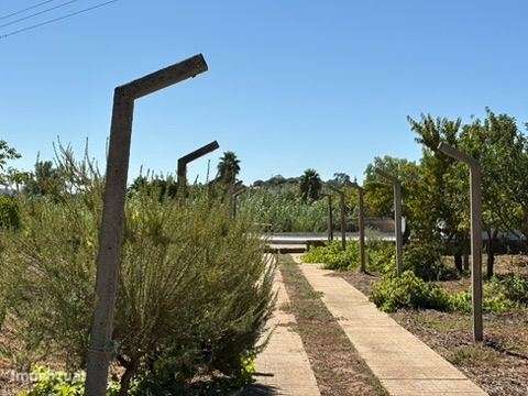 Terreno em zona Urbana com Cerca de 5.000 m² à Venda | Baixa de Pal...-24