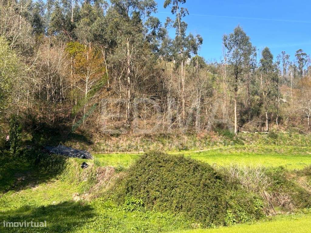 Terreno Rustico Joane - Grande imagem: 5/11