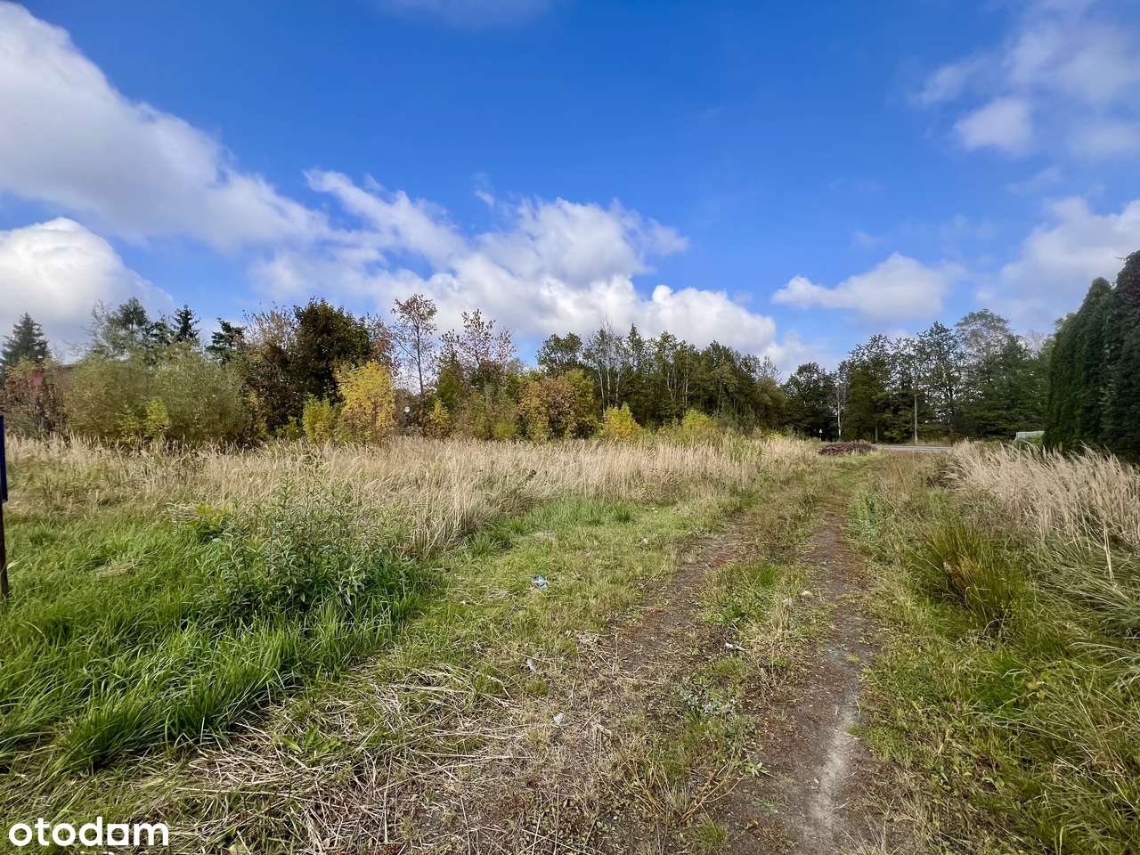 Działka przy ul. Rokicińskiej- media miejskie, zjazd. Bez prowizji-5