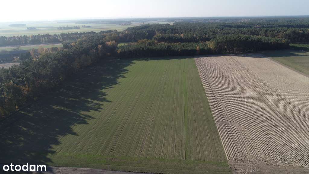 Działki budowlane o pow. 550-1900 m2 - Pełny obrazek: 3/9