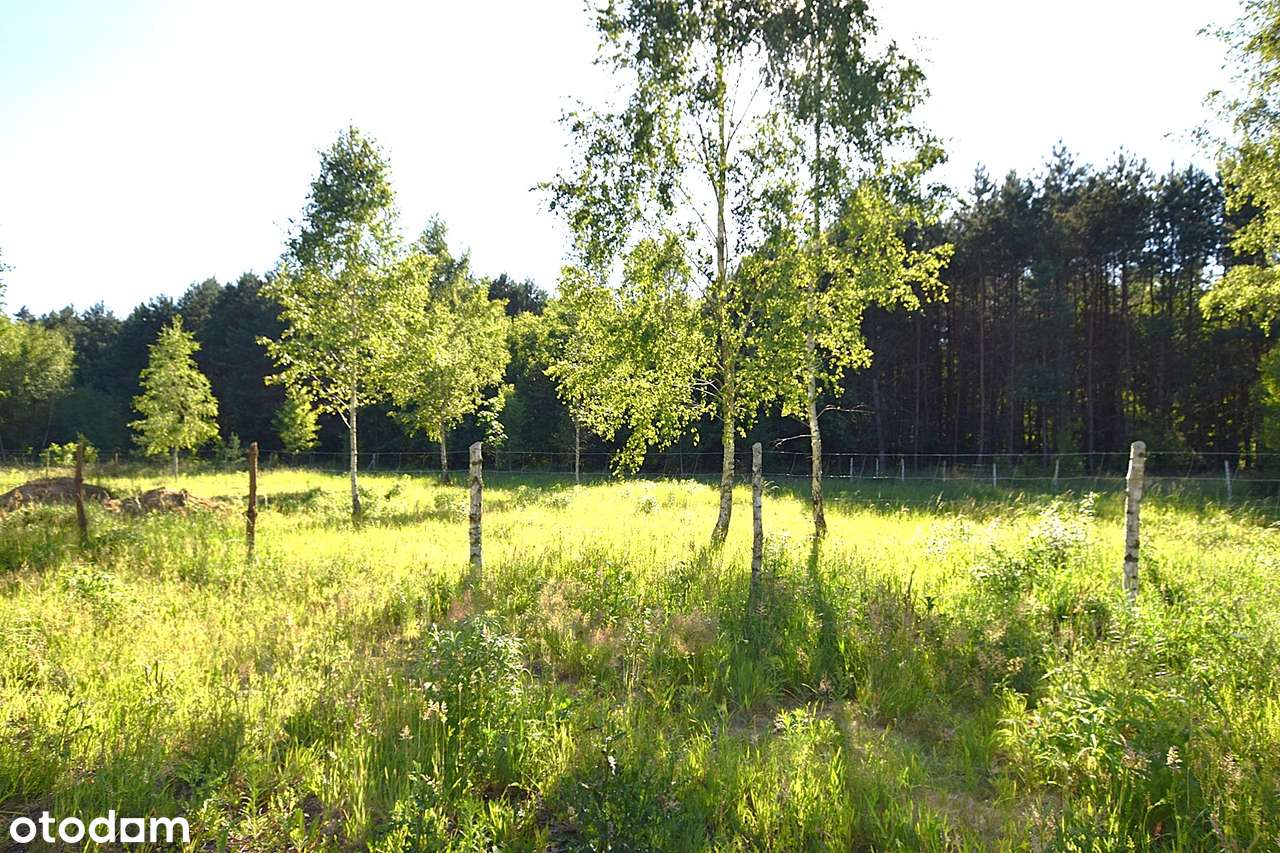 SPRZEDAM !!!! Piękną działkę z warunkami zabudowy gm. Gietrzwałd-6