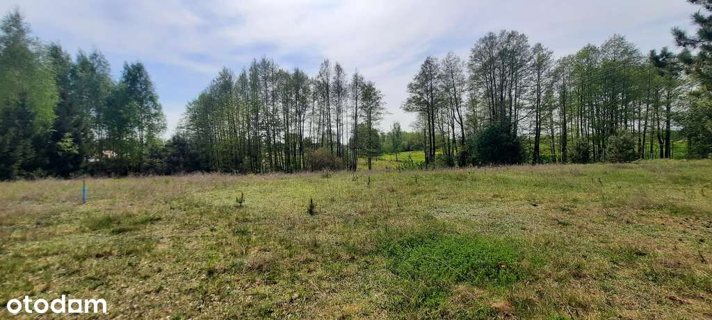 Nowa Wieś - działka budowlana - Pełny obrazek: 4/6